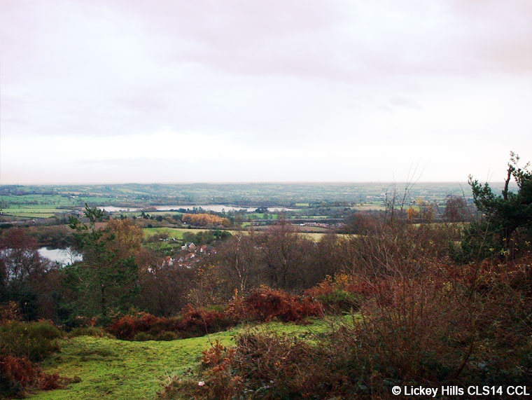 A view from Bilberry Hill, Lickey Hills Country Park