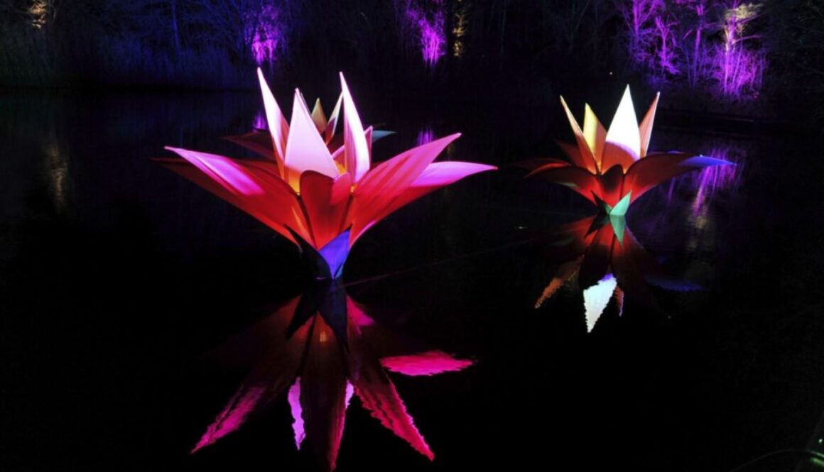 Malvern Winter Glow flower sculptures