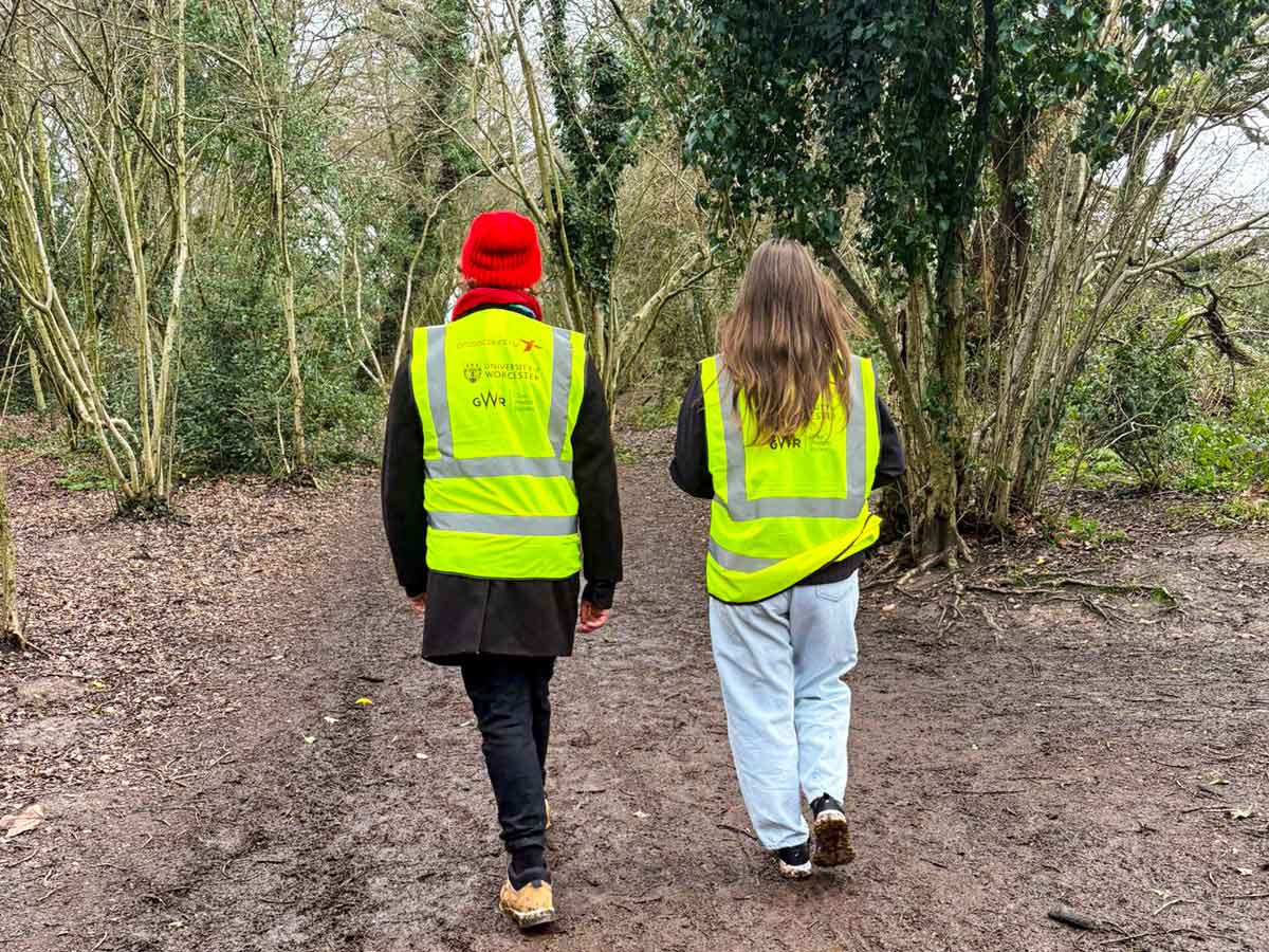 Wellbeing-walks-woodland